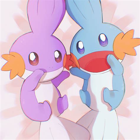 mudkip porn
